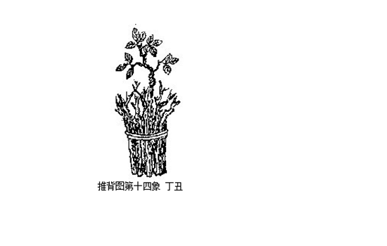 14.png